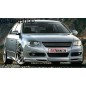 VW PASSAT B6 3C NAKŁADKI PROGOWE PROGI