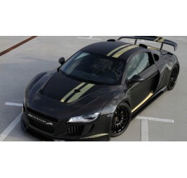 Audi R8 2006-2014 V8 V10 RAZOR HECKSPOILER