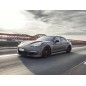 PORSCHE PANAMERA 970 - FRONT HOOD