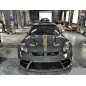 PORSCHE PANAMERA 970 CAPOT