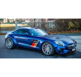 MERCEDES AMG GT GTS [C190/R190] PD800GT MOTORHAUBE
