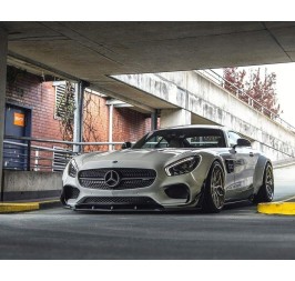 MERCEDES AMG GT GTS [C190/R190] PD800GT MOTORHAUBE