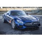 MERCEDES AMG GT GTS [C190/R190] PD800GT MOTORHAUBE