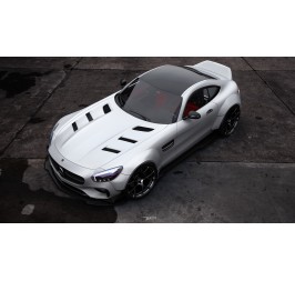 MERCEDES AMG GT GTS [C190/R190] PD800GT MOTORHAUBE