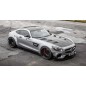 MERCEDES AMG GT GTS [C190/R190] PD800GT MOTORHAUBE