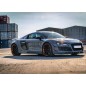 AUDI R8 2006-2014 V8 V10 BODY KIT ZESTAW OSPOILEROWANIA