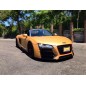 KIT CARROSSERIE AUDI R8 2006-2014 V8