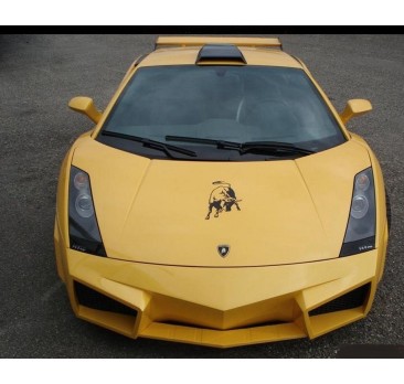 LAMBORGHINI GALLARDO - ATS FULL BODY KIT
