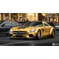 MERCEDES AMG GT GTS [C190/R190]- WIDE BODY KIT PD800GT