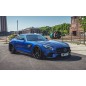MERCEDES AMG GT GTS [C190/R190]- WIDE BODY KIT PD800GT