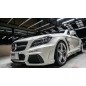 Mercedes Benz CLS W218 Wald Bodykit