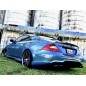 Mercedes Benz CLS W219 Bodykit AMG