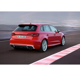 AUDI A3 8V SPORTBACK DACHSPOILER RS3