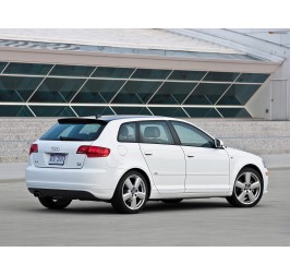 AUDI A3 8P 5 DOOR S3 ROOF SPOILER