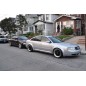 AUDI A6 C5 97-02 S6 RS6 LEISTEN DIE DICKSTEN TURLEISTEN