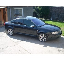 AUDI A6 C5 97-02 S6 RS6 LEISTEN DIE DICKSTEN TURLEISTEN