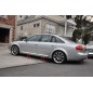 AUDI A6 C5 97-02 S6 RS6 LEISTEN DIE DICKSTEN TURLEISTEN