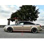 AUDI A6 C5 97-02 S6 RS6 LEISTEN DIE DICKSTEN TURLEISTEN