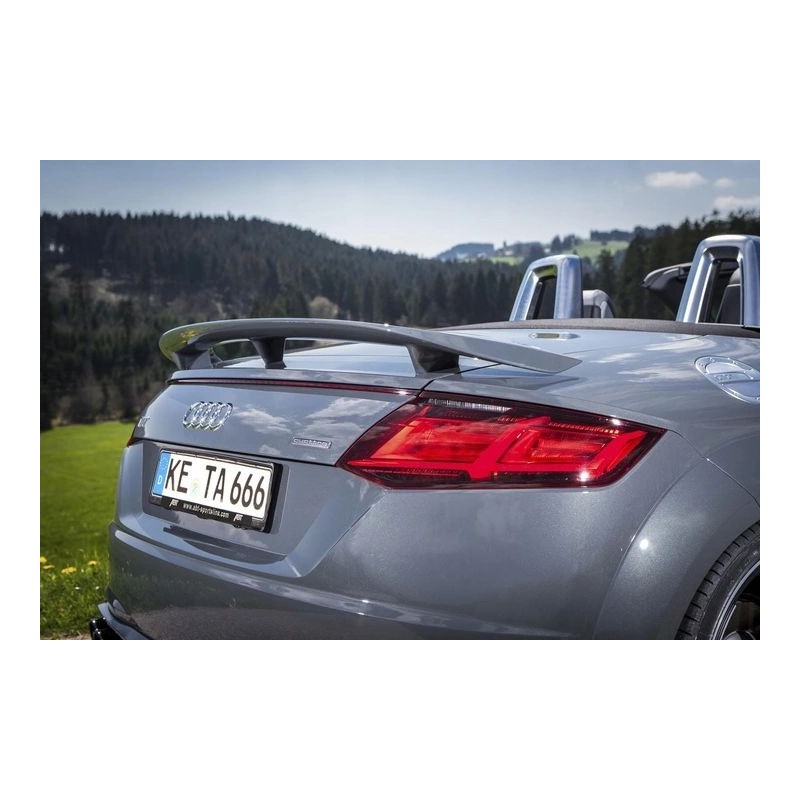 AUDI TT 8J MK2 AILERON / BECQUET / SPOILER