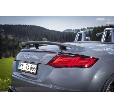AUDI TT 8J MK2 SPOILER NA KLAPE LOTKA