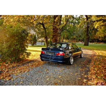 BMW 3 E46 COUPE ALPINA SPOILER NA KLAPE LOTKA