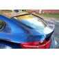 BMW X6 E71 (2008-2014) Heckscheiben-Spoiler (Flossen) PERFORMANCE