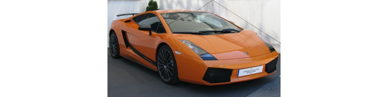 Gallardo