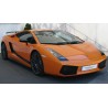 Gallardo